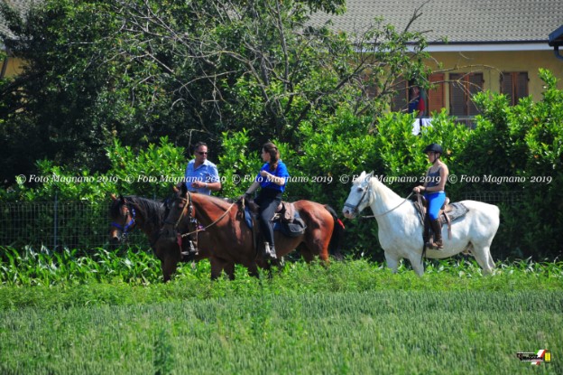 DSC_7522.JPG